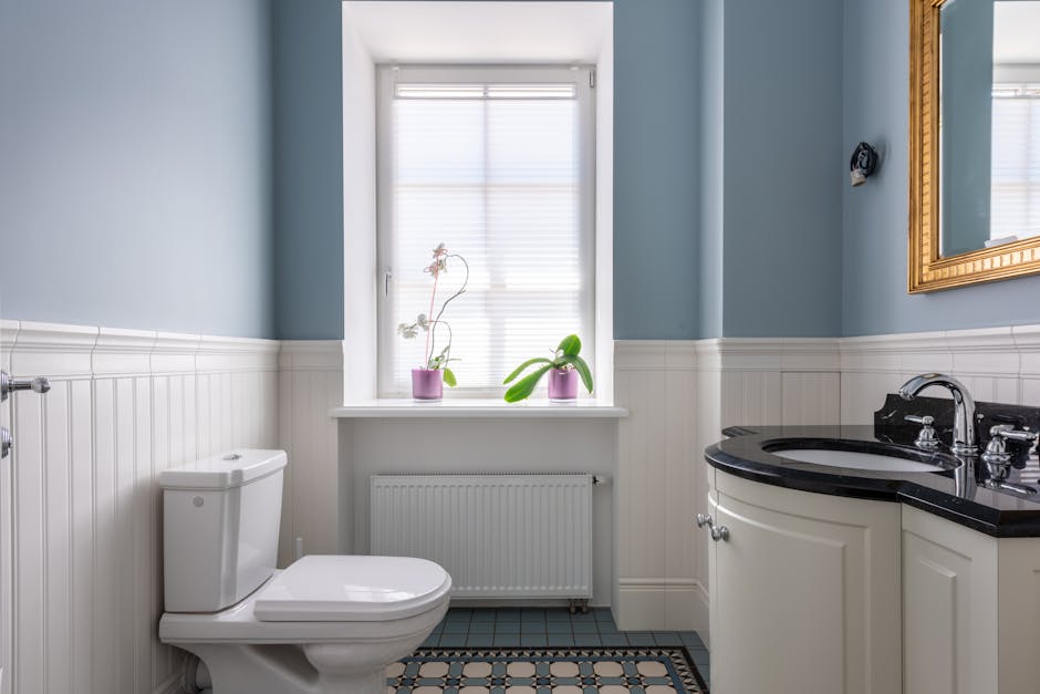 Toilet Repair & Installation in Lewisville, TX - The Lewisville Plumber